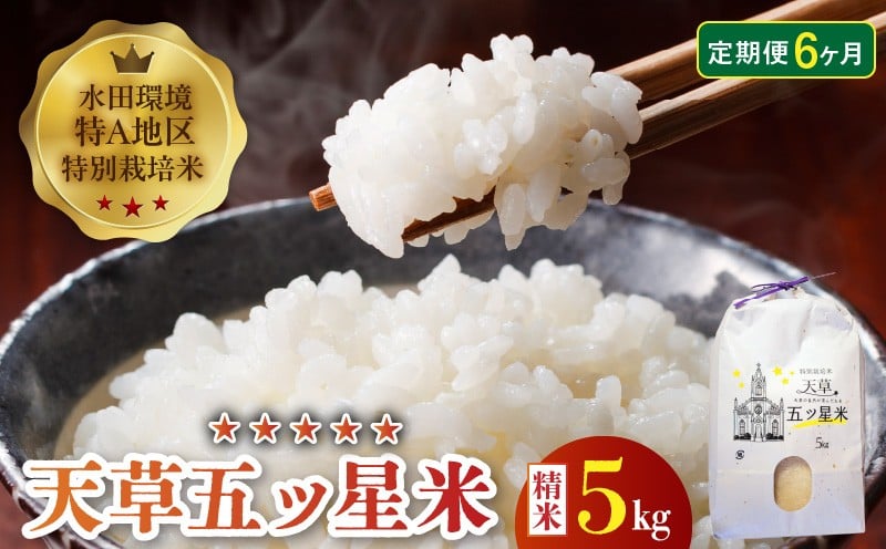 
S061-T06_【6ヶ月定期便】特別栽培米 天草五ッ星米 精米 5kg
