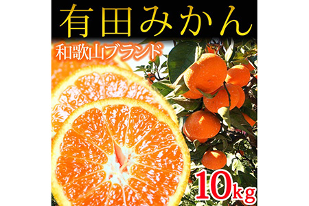 【先行予約】完熟有田みかん10kg ｜ みかん みかん みかん みかん みかん
