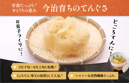 今治産しまなみ天草 2袋セット [V002590SET2]