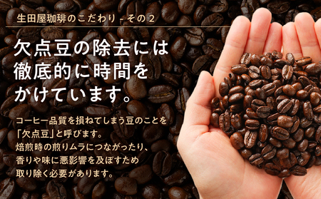 4種類の有機豆を使用した贅沢ブレンド珈琲（粉）　K186-001_02 薩摩 さつま 大人気珈琲 人気珈琲 鹿児島産珈琲 鹿児島県産珈琲 大人気コーヒー 人気コーヒー 鹿児島産コーヒー 鹿児島県産コー