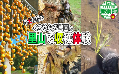 【 収穫体験 】 収穫体験　1時間（1名様からご家族までOK）お土産付き《 季節のお野菜の収穫 山菜採り 田植え 稲刈り 干し柿作り しいたけの駒打ち クワガタ虫捕り 》 くろやなぎ農園 長野県 飯綱町 [1984]