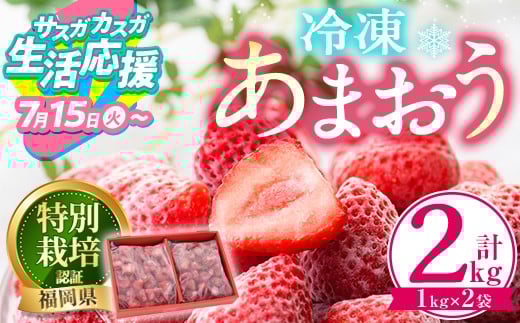 【期間限定】冷凍あまおう(計2kg・1kg×2袋) いちご イチゴ 苺 あまおう 冷凍いちご 冷凍イチゴ 国産 福岡県 特別栽培 果物 フルーツ アイス シャーベット ジャム スムージー 冷凍フルーツ ＜離島配送不可＞【ksg0438】【うるう農園】