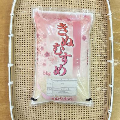 ふるさと納税 出雲市 【ふるさと納税】お米　令和7年産　出雲きぬむすめ5kg