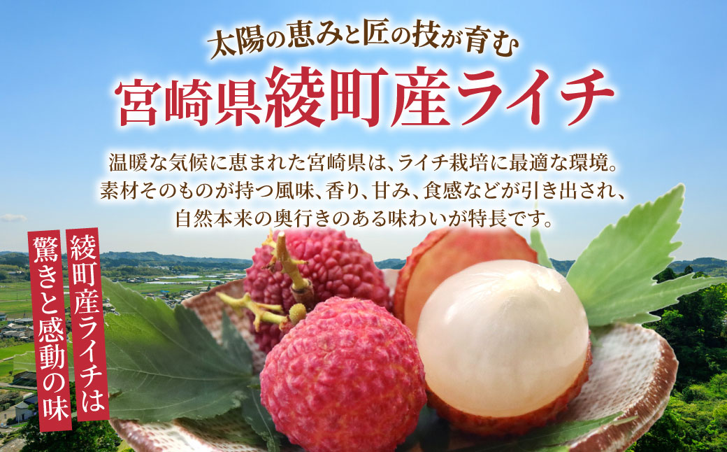 【数量限定】希少 綾生ライチ お裾分けセット  [６パック] 宮崎県 綾町産 ライチ 国産ライチ 果物 フルーツ 生ライチ 産地直送 期間限定 お中元 小分け 送料無料【JA綾町】_A0114-105