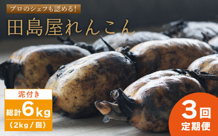 【先行予約】【3回定期便】 れんこん（泥付き） 2kg×3回 れんこん IAV005