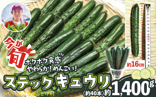 
                  ステックキュウリ ポクポク柔らか！めんこい！約40本 90P3213 / 東北 秋田 大館 野菜 新鮮 農産物 農家  農家直送  きゅうり ステックキュウリ キュウリ サラダ
                