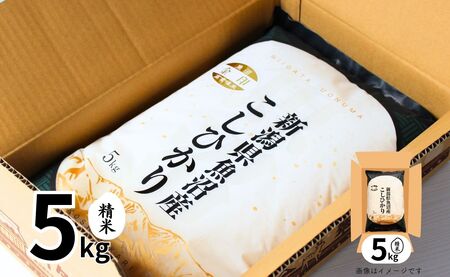 【6ヶ月定期便】令和7年産新米 魚沼産コシヒカリ「金印」高食味米 5kg×全6回 新潟県 津南町 有限会社イタバ