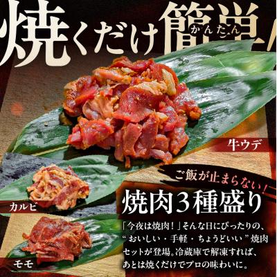 ふるさと納税 渋谷区 焼肉セット 3種 (醤油)【195016】 |  | 01