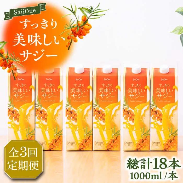【全3回定期便】すっきり美味しい サジー 1000ml×6本 VAX048 サジージュース