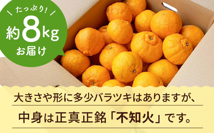 【先行予約】 不知火 訳あり 約8kg しらぬい 柑橘 フルーツ 果物 果実 みかん 蜜柑 ミカン 熊本県 宇城市産 【2026年2月下旬から4月上旬発送予定】