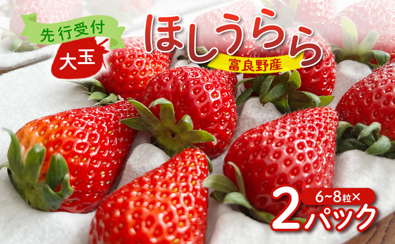 【2026年先行予約】 富良野産 いちご ほしうらら 大玉 6～8粒×2パック　［ フルーツ 果物 新鮮 贈り物 ギフト フルーツ 生いちご イチゴ 苺 大粒 甘い 道産 北海道 富良野 ］