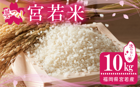 令和7年産 夢つくし 無洗米 10kg [M896-3] ごはん コメ ご飯 精米 白米 ブランド米