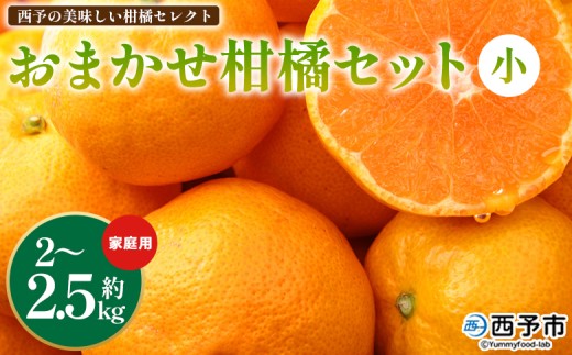 ＜西予の美味しい柑橘セレクト（ご家庭用）／おまかせ柑橘セット（小）約2～2.5kg＞ 果物 くだもの フルーツ 蜜柑 みかん ミカン 柑橘 ご家庭用 温州みかん 食べて応援 国産 愛媛県産 特産品 西予みかん倶楽部 愛媛県 西予市『2月に順次発送』【常温】
