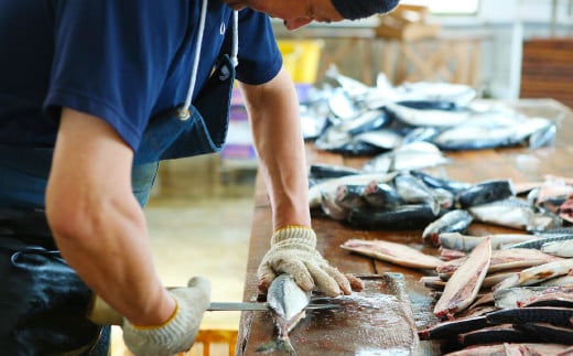 【6ヶ月定期便】 越田の干物 さば 6枚×6回 合計36枚 干物 鯖 サバ 魚 お魚 さかな 魚介類