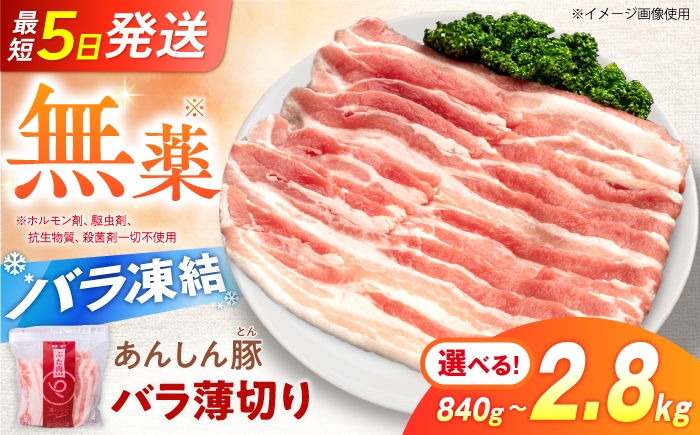 
                  《バラ凍結》＼選べる容量／岐阜県産 豚肉 無薬育ちのあんしん豚 バラ薄切り 840g～2.8kg（280g/個）豚バラ 豚肉 スライス 豚バラ 豚ばら バラ肉 しゃぶしゃぶ 豚しゃぶ 薄切り肉 バラ 小分け 冷凍 国産 パラパラ 白川町 / 藤井ファーム [AWAF038]
                
