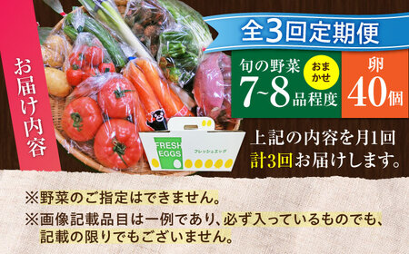 【全3回定期便】【数量限定】新鮮たまごと旬の野菜セット(野菜7から8品程度＋40個) / たまご 生卵 タマゴ 詰合せ セット 熊本県 特産品【有限会社さんふれあ】[BHAK009]