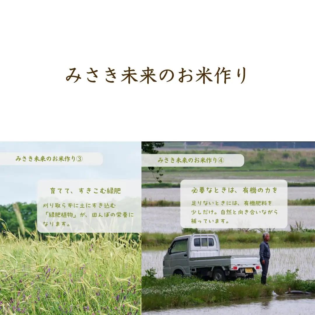 【先行予約】【6か月定期便】つきあかり 白米 60kg (10kg×6回) 令和8年産 | 無農薬 農薬不使用 化学肥料不使用 精米 お米 米 こめ コメ 福島産 福島県産 南相馬市 みさき未来 つき