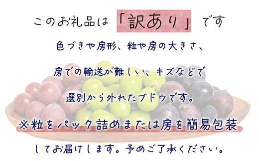 【2026年先行受付】岡山　花笑み農園のブドウ『訳あり3種以上MIX』1kg　W3M-1【配送不可地域：離島】