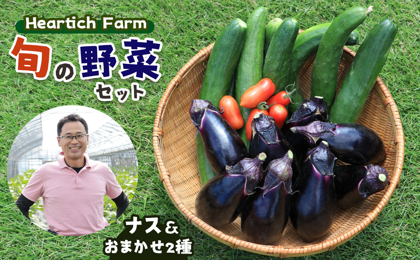 
                  【ふるさと納税】野菜 ナス Heartich Farm旬の野菜セット（おまかせ3種） 真岡市 栃木県
                