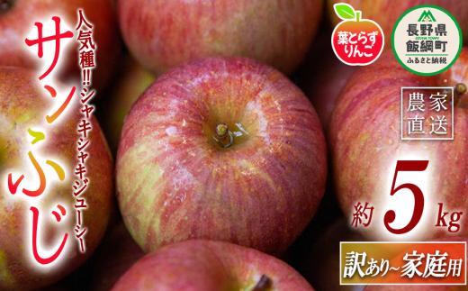 りんご 葉とらず サンふじ 家庭用 〜 訳あり 5kg フレッシュフルーツミカズキ 沖縄県への配送不可 2025年11月下旬頃から2026年1月下旬頃まで順次発送予定 令和7年度収穫分 傷 不揃い リンゴ 林檎 果物 フルーツ 信州 長野 17000円 予約 農家直送 長野県 飯綱町 [1668]