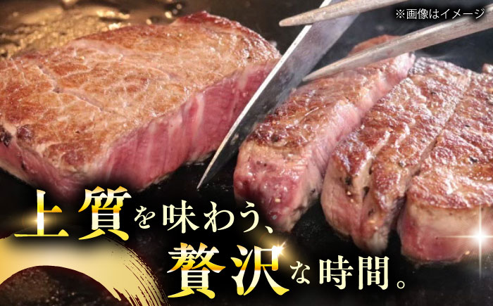 長崎和牛A5ランクサーロインステーキ4枚 約120g×4枚 [QAA034]