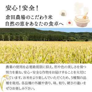 令和7年産 北海道 岩見沢市産 おぼろづき 精米 5kg ≪沖縄・離島配送不可≫ a124-034-R7