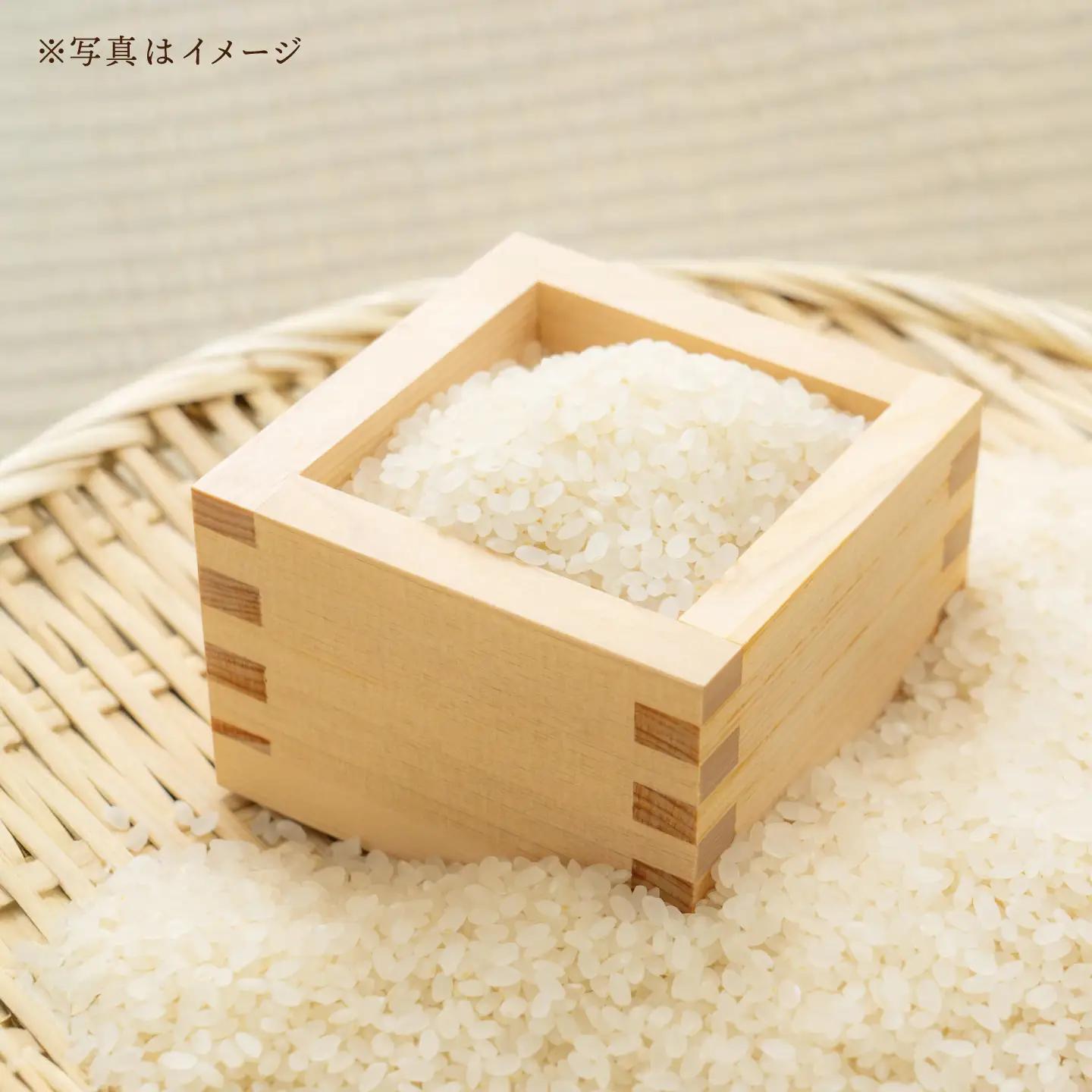 【12回定期便】真空【轟峡渓流米】精白米(にこまる) 5kg / 米 お米 白米 精白米 5kg 真空 真空パック 長期保存 / 諫早市 / 轟名水ファーム高来[AHFF032]