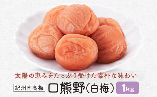 紀州南高梅　口熊野（白梅）1kg
