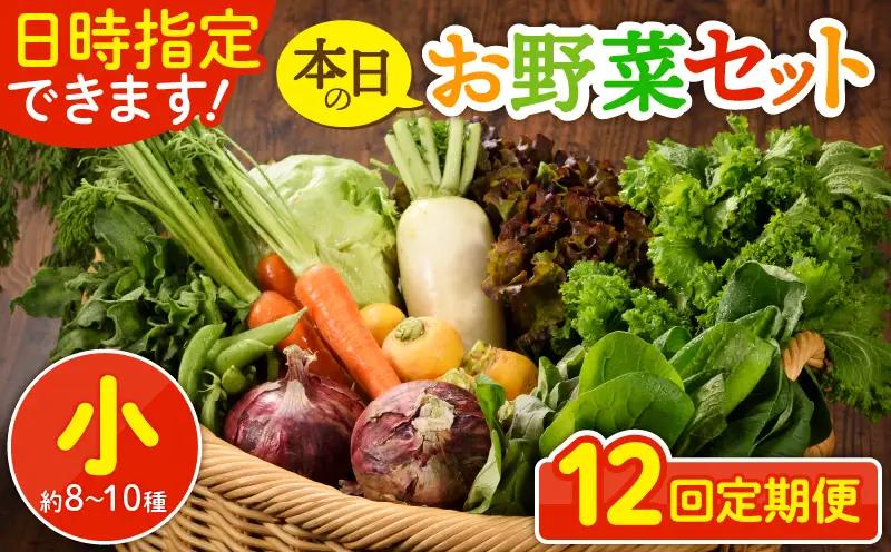 【12回定期便】日時指定OK！本日のお野菜セット （小サイズ/約8～10種） / 野菜 有機栽培 産地直送 新鮮 旬 詰め合わせ きのこ類 やさい 送料無料 【オーガニックのまち 宮崎県綾町】＿A0053-004