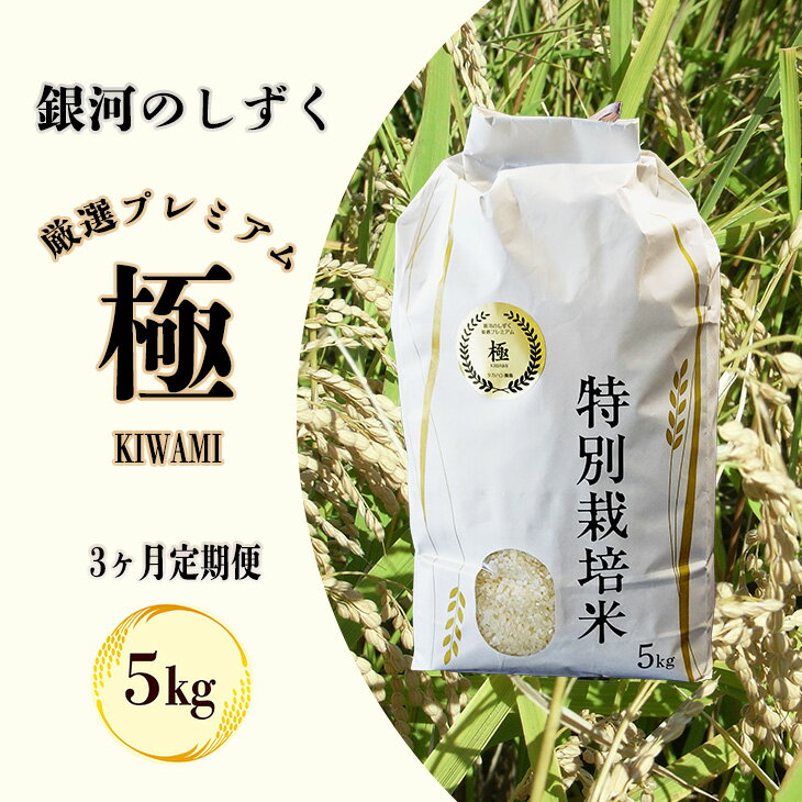 【ふるさと納税】【3ヶ月定期便】〈令和7年産〉銀河のしずく 厳選プレミアム 極（kiwami）5kg 白米 精米 ブランド米 岩手県 花巻市
