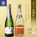 【ふるさと納税】 ぶどう品種飲み比べ シャルドネ 辛口 ナイアガラ やや甘口 2本セット F2Y-3602