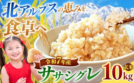 ササシグレ 玄米 約10kg 【令和7年産】 | 米 こめ コメ お米 玄米 ササシグレ アミロース米 長野県 松川村 信州