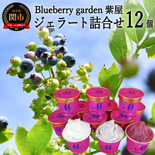 【ふるさと納税】自然農園 紫屋のジェラート 12個セット 【 ブルーベリー・ミルク・ソルベ 】　S12-10 〜地元人気店 栽培期間中無農薬 アイス 菓子 デザート スイーツ
