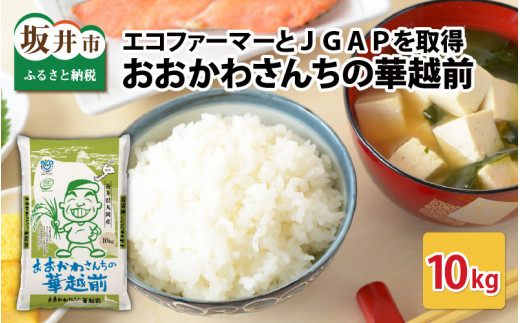 【令和7年産】 おおかわさんちの華越前 10kg 【お米 こめ ハナエチゼン 10キロ 白米 精米 ご飯 ごはん 美味しい ふるさと納税米】 [A-10815]