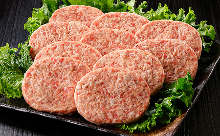 北海道　和牛肉　5・4等級　本物志向の冷凍ハンバーグ｜十勝ナイタイ和牛　ビーフ&ポークハンバーグ＜120g×10個＞　［016-N60］　※オンライン申請対応