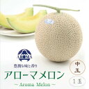 【ふるさと納税】【通年出荷】アローマメロン(中玉)1玉入【配送不可地域：離島・北海道・沖縄県】【1447114】