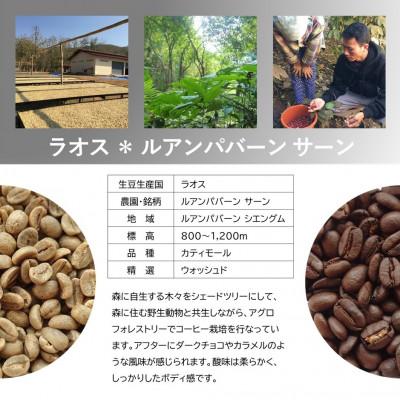 ふるさと納税 上毛町 風味際立つ手鍋焙煎コーヒー豆(アジア編) 200g×2袋 |  | 02