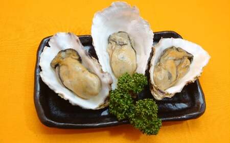 【温めてすぐ食べられる】わいわいの牡蠣のバター焼き＆揚げ物2種 各5袋セット 【 牡蠣 カキ さんまメンチ 納豆 ちくわ フライ なっちく 揚げ物 】RT2786