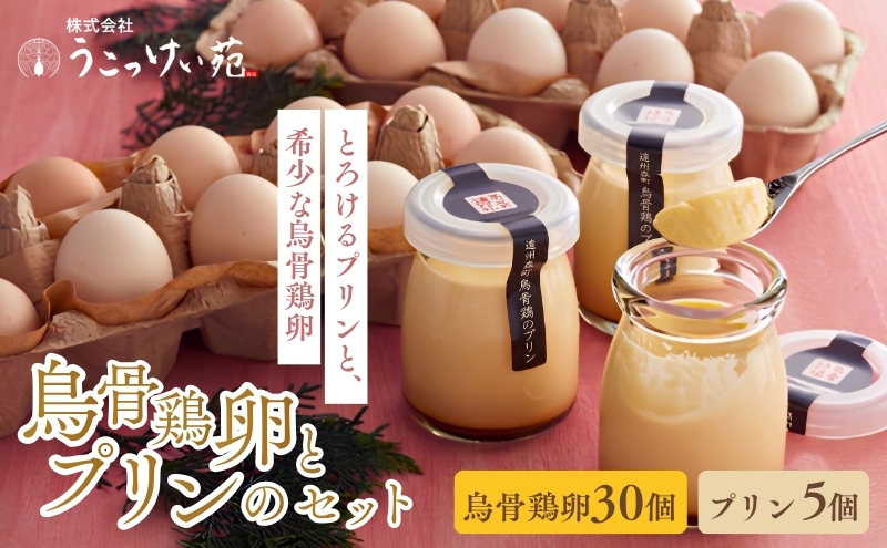 鳥骨鶏卵（30個）とプリン（5個）のセット たまご 烏骨鶏 プリン スイーツ お菓子 静岡県 森町