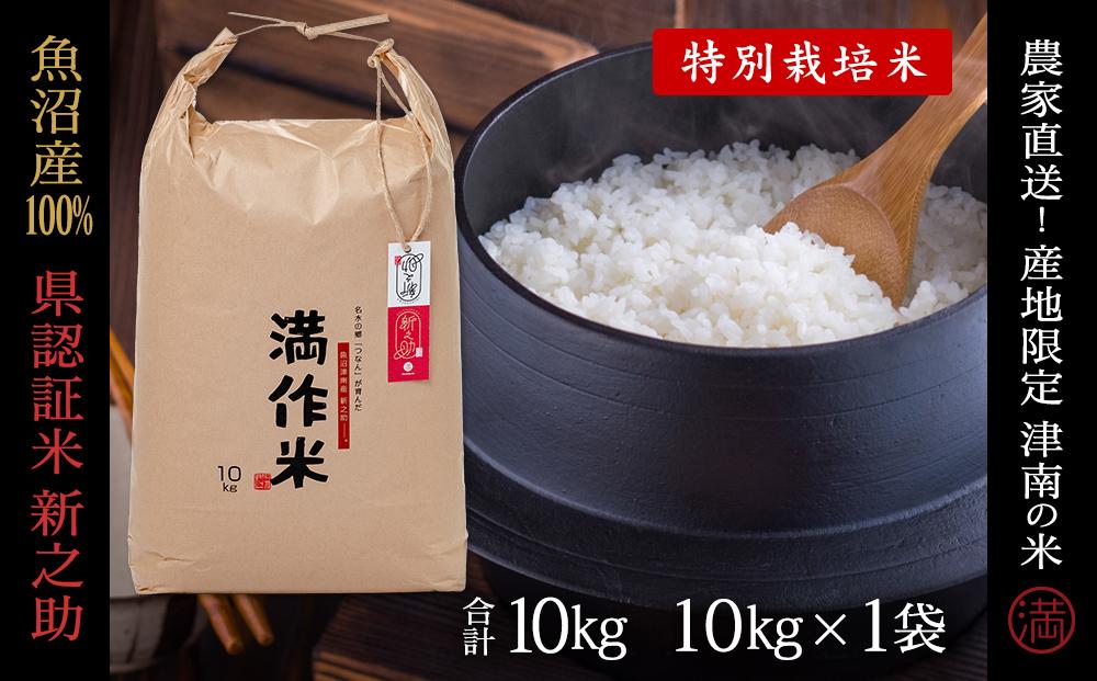 【2025年産新米】【県認証】魚沼津南産新之助 10kg 産地限定！農家直送