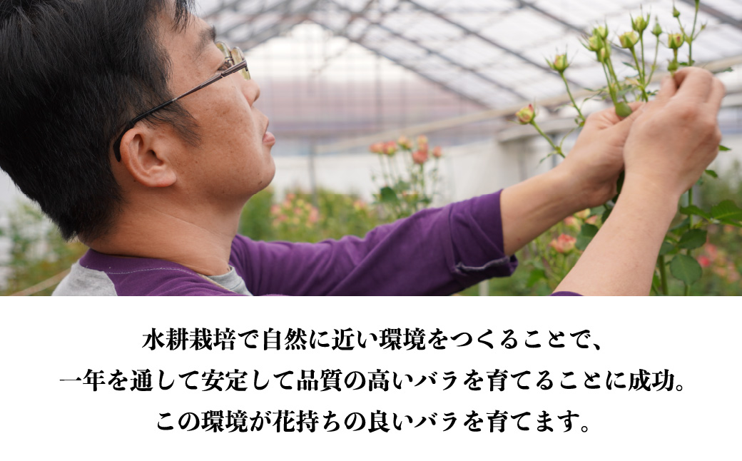 ＜配送エリア限定・着日指定必須＞ 生産農家直送 バラ花束 赤 約26～30本 | 埼玉県 上尾市 バラ 薔薇 ローズ 花束 植物 インテリア 誕生日 記念日 お祝い 母の日 父の日 ラッピング有り リ