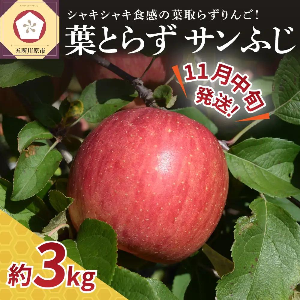 【2026年11月中旬発送】【家庭用】りんご葉とらずサンふじ3kg