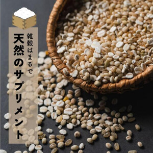 健康重視ヘルシーブレンド 24kg(400g×60袋)