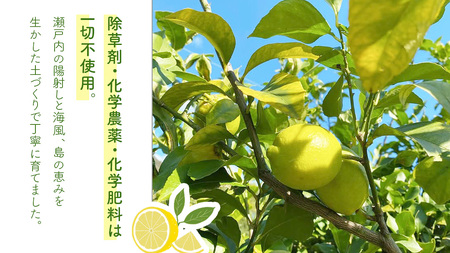 大崎上島産 有機レモン 3kg （目安25〜30個程度）