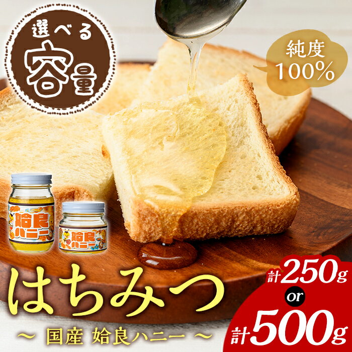 【ふるさと納税】《期間限定！2025年4月下旬〜10月中旬の間に発送予定》選べる容量！姶良ハニー(250g・500g) 国産 ハチミツ はちみつ 蜂蜜 百花蜜 蜜 常温 常温保存 【原電設工業】