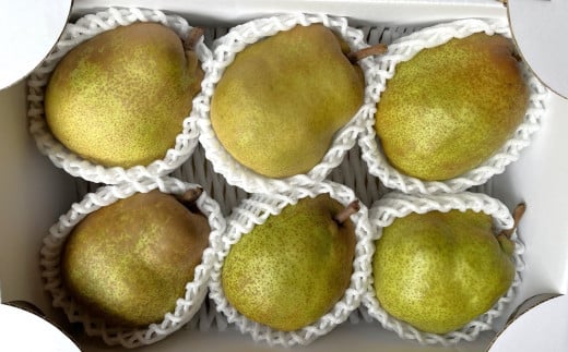 西洋梨（ラ・フランス）２ｋｇ　特秀品　0065-2507