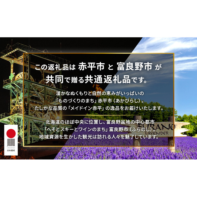 【赤平市×富良野市共通返礼品】Brush 北海道カラーパレットハードスーツケース × 富良野スキー場 シーズン リフト1日券2枚　北海道 赤平市 富良野市 コラボ 共通返礼品_イメージ2