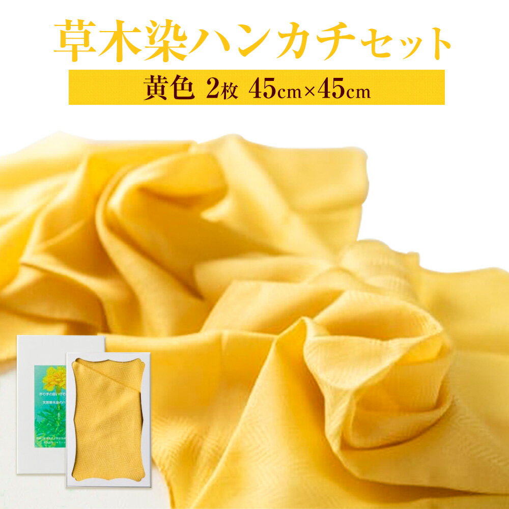 【ふるさと納税】草木染 ハンカチ 2枚 セット 黄×2 結城市社会福祉協議会 障害者福祉センター 《30日以内に出荷予定(土日祝除く)》ファッション 小物 天然草木染 オリジナル マリーゴールド ハンカチ イエロー