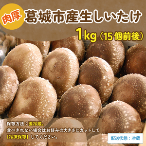 葛城市産生しいたけ（1kg） 15個前後 椎茸 シイタケ 生 国産 セット 1kg 新鮮 菌床 スライス 奈良県 葛城市【kobo004】