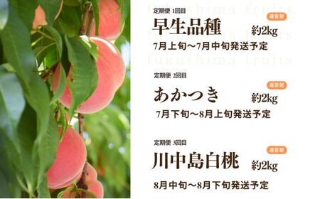 No.2967中野/佐藤果樹園 福島の桃３種定期便 各約2kg【2026年発送】